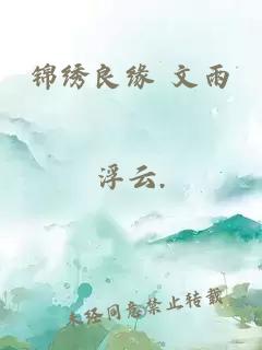 锦绣良缘 文雨