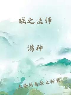 贼之法师