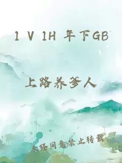 1 V 1H 年下GB