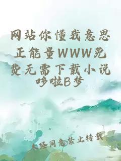 网站你懂我意思正能量WWW免费无需下载小说