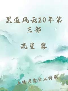 黑道风云20年第三部