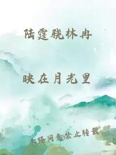 陆霆骁林冉