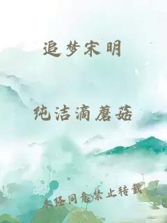 追梦宋明