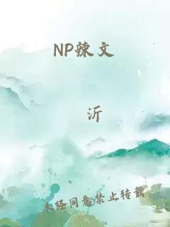 NP辣文