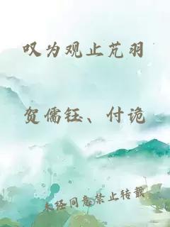 叹为观止芃羽