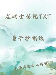 龙战士传说TXT