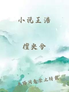 小说王浩