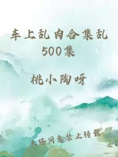 车上乱肉合集乱500集