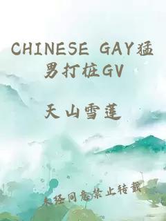 CHINESE GAY猛男打桩GV