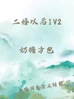 二婚以后1V2