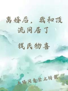 离婚后，我和顶流同居了