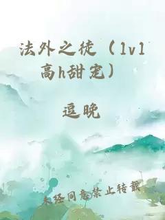 法外之徒（1v1高h甜宠）