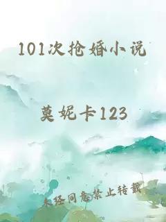 101次抢婚小说