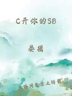 C开你的SB