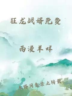 狂龙战婿免费