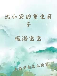 沈小安的重生日子