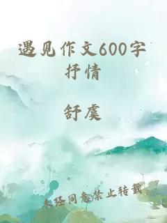 遇见作文600字抒情