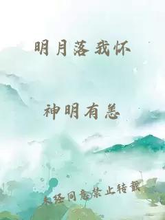 明月落我怀