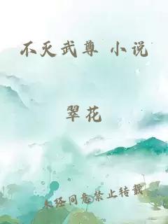 不灭武尊 小说