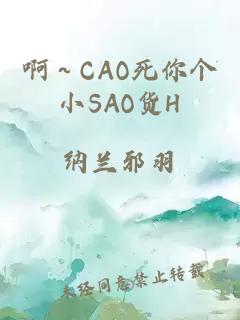 啊～CAO死你个小SAO货H