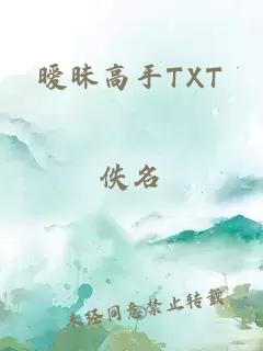 暧昧高手TXT