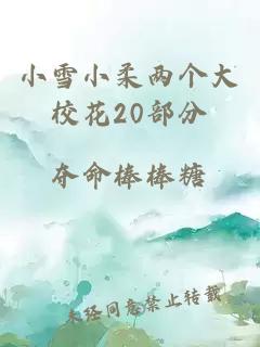 小雪小柔两个大校花20部分