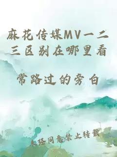 麻花传媒MV一二三区别在哪里看