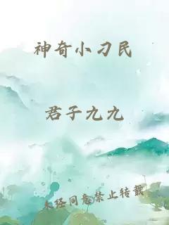 神奇小刁民