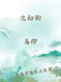 沈初韵