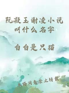 阮凝玉谢凌小说叫什么名字