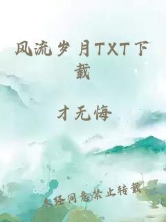 风流岁月TXT下载