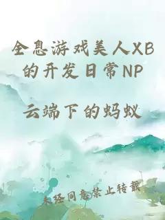 全息游戏美人XB的开发日常NP