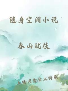 随身空间小说