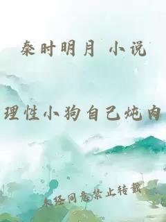 秦时明月 小说