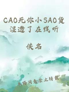 CAO死你小SAO货湿透了在线听