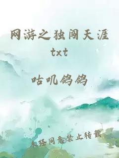 网游之独闯天涯txt