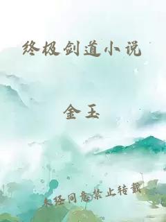 终极剑道小说