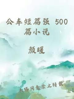 公车短篇强 500篇小说