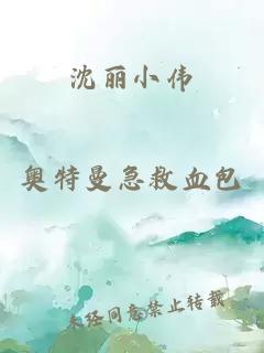 沈丽小伟