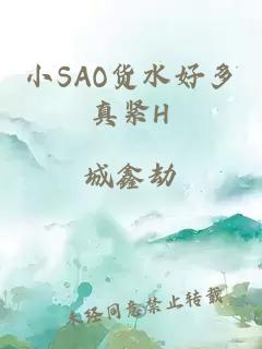 小SAO货水好多真紧H