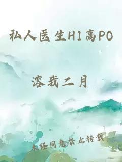 私人医生H1高PO