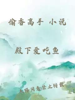 偷香高手 小说