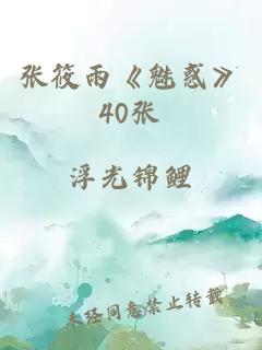 张筱雨《魅惑》40张