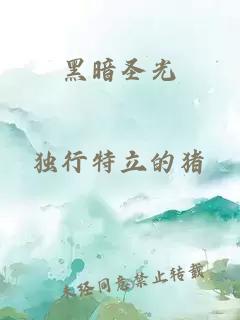 黑暗圣光