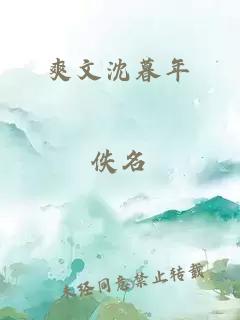 爽文沈暮年