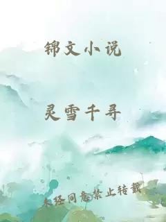 锦文小说