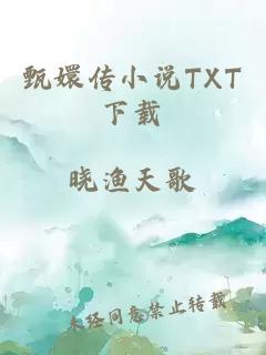 甄嬛传小说TXT下载