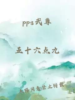 pps武尊