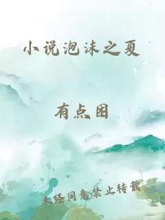 小说泡沫之夏