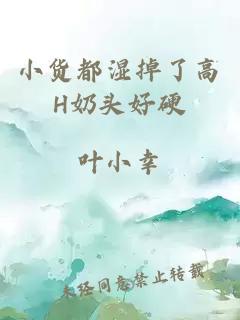 小货都湿掉了高H奶头好硬